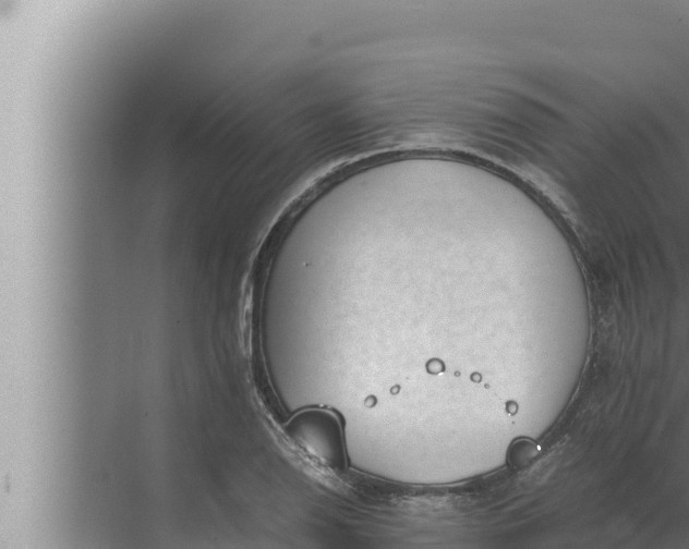 X0000072501126200607290058