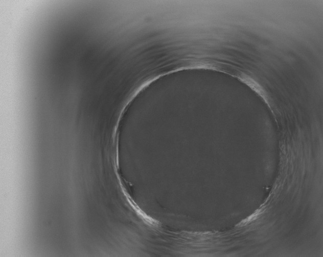 X0000072501127200607290059