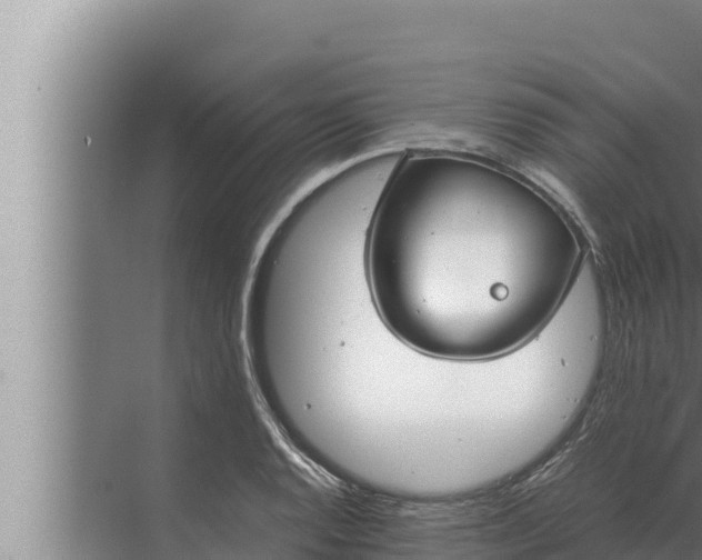 X0000072501128200607290059