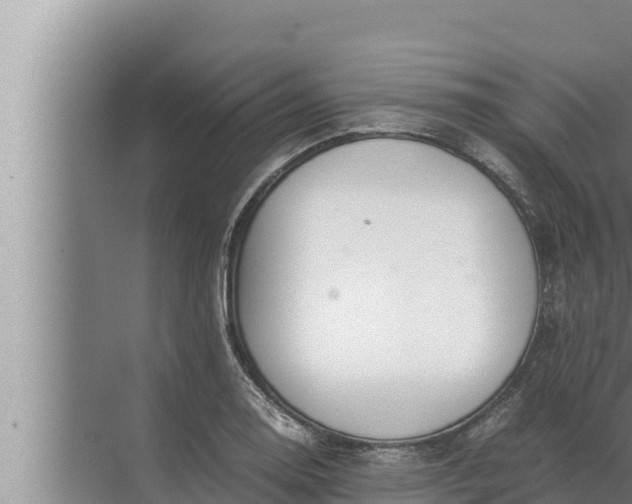 X0000072501130200607290059