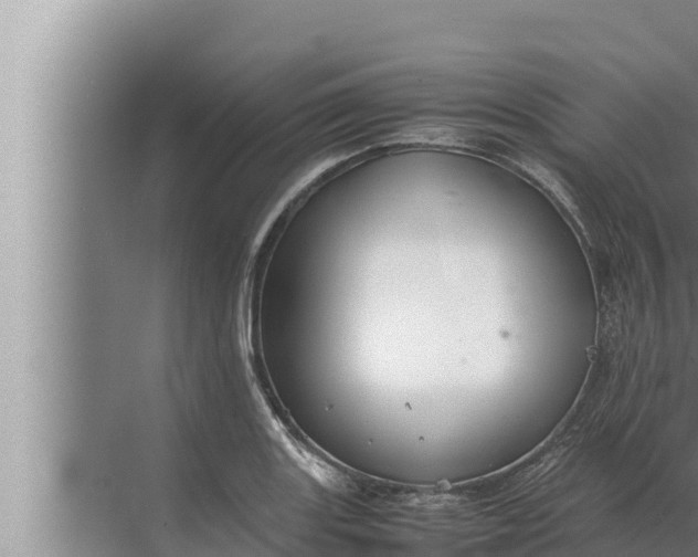 X0000072501131200607290059