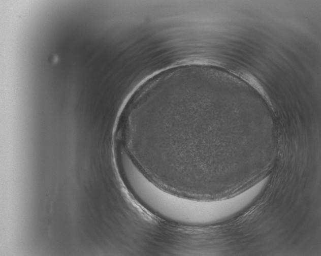 X0000072501132200607290059