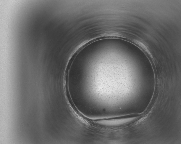 X0000072501133200607290059