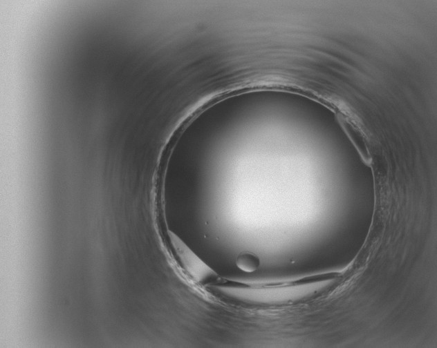 X0000072501134200607290059