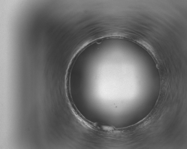 X0000072501135200607290059