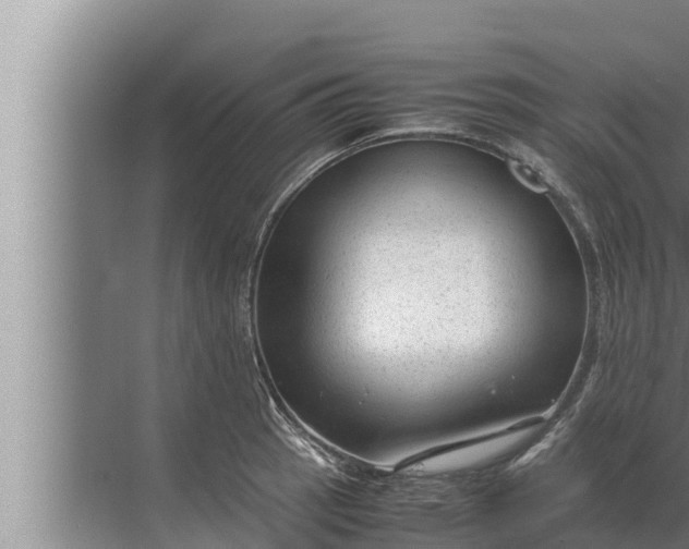 X0000072501137200607290059