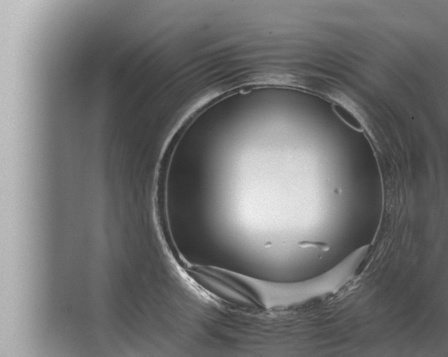 X0000072501139200607290059