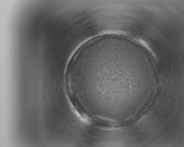 X0000072501140200607290059