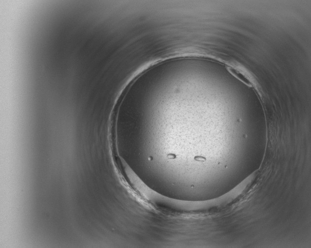 X0000072501142200607290059