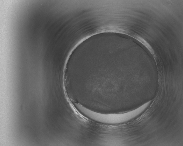 X0000072501144200607290059