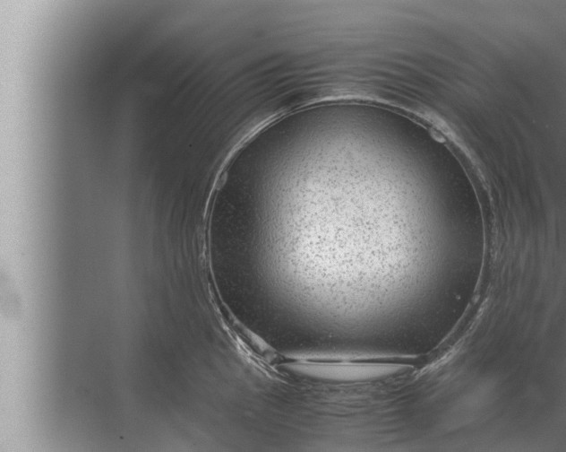 X0000072501145200607290059