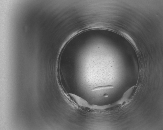 X0000072501146200607290059