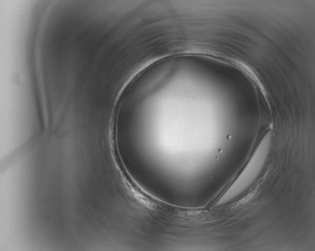 X0000072501149200607290059