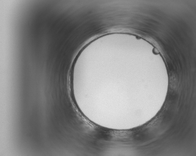 X0000072501150200607290059