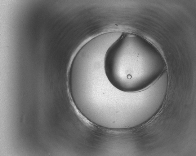 X0000072501152200607290059