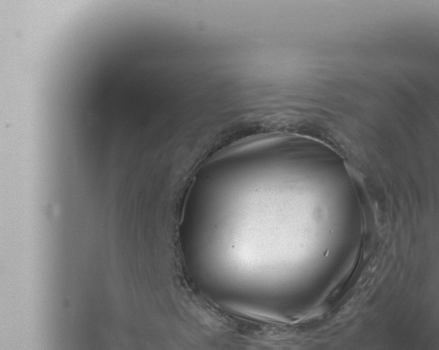 X0000072501153200607290058