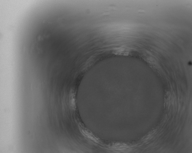 X0000072501154200607290058