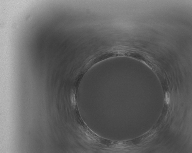 X0000072501155200607290058