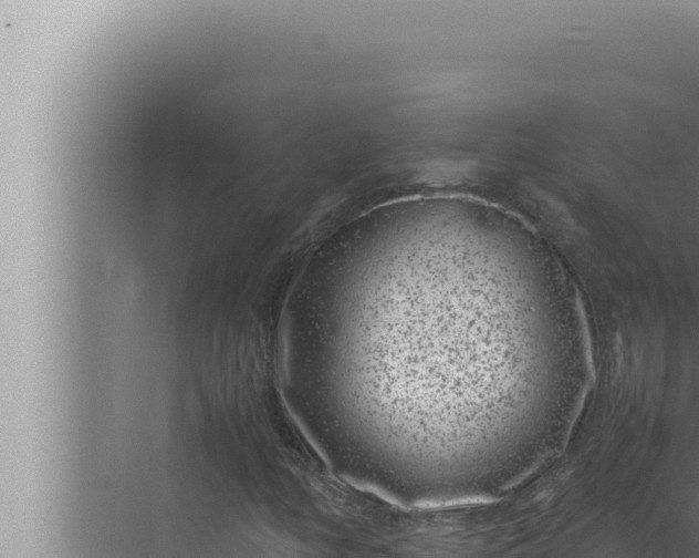 X0000072501158200607290058