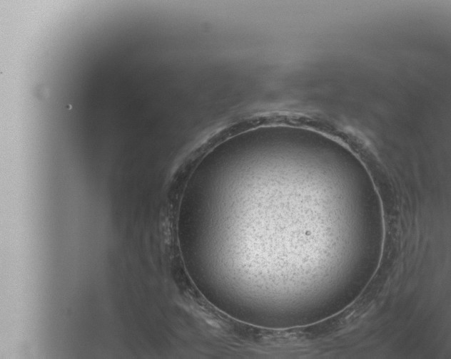 X0000072501159200607290058