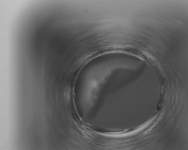 X0000072501161200607290058