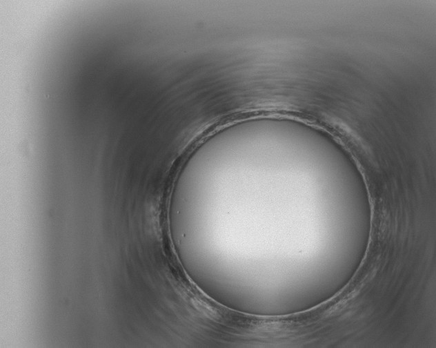 X0000072501162200607290058