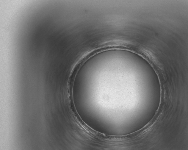 X0000072501164200607290058