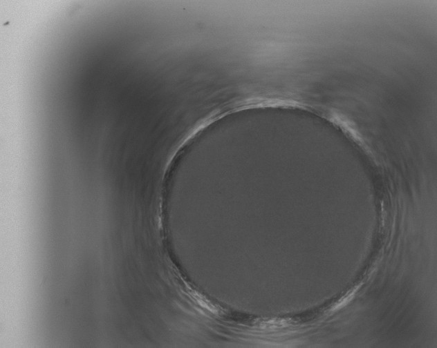 X0000072501165200607290058