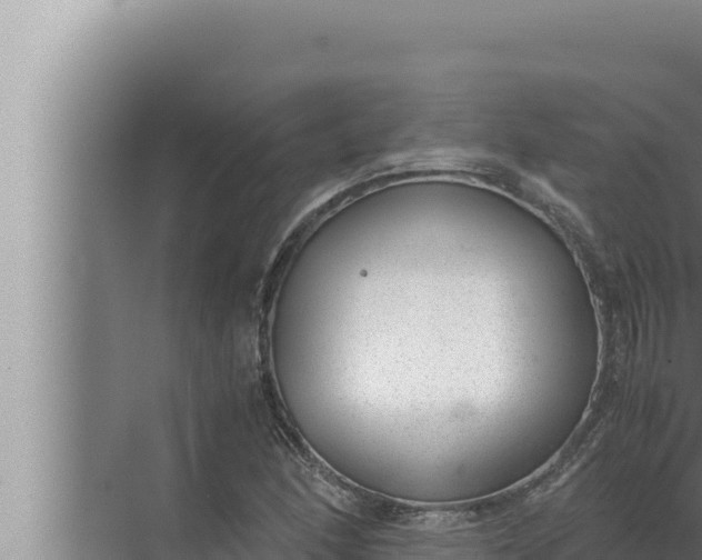 X0000072501166200607290058