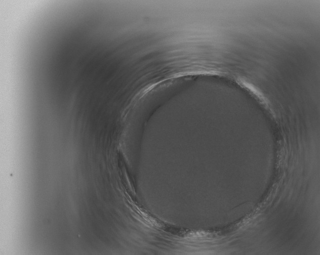 X0000072501169200607290058