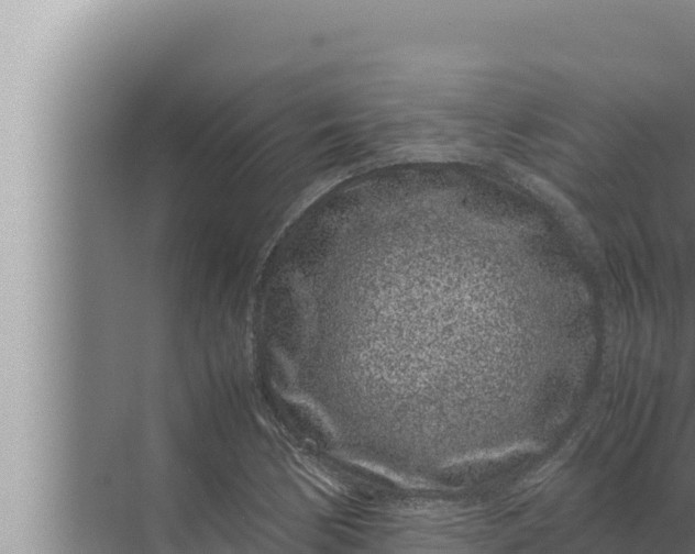 X0000072501170200607290058