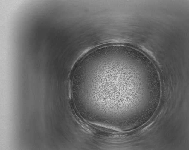 X0000072501171200607290058