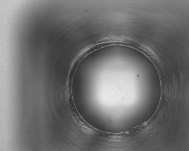 X0000072501172200607290058