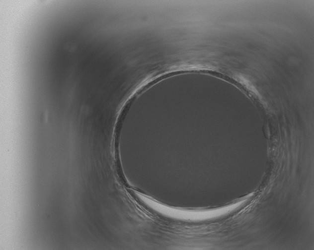 X0000072501173200607290058