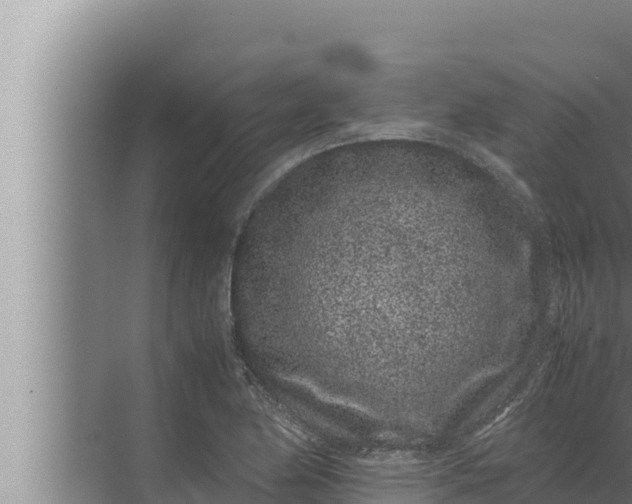 X0000072501174200607290058