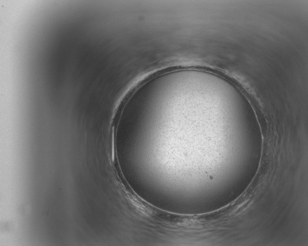 X0000072501175200607290058