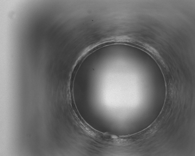 X0000072501176200607290058