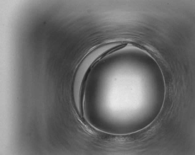 X0000072501177200607290058