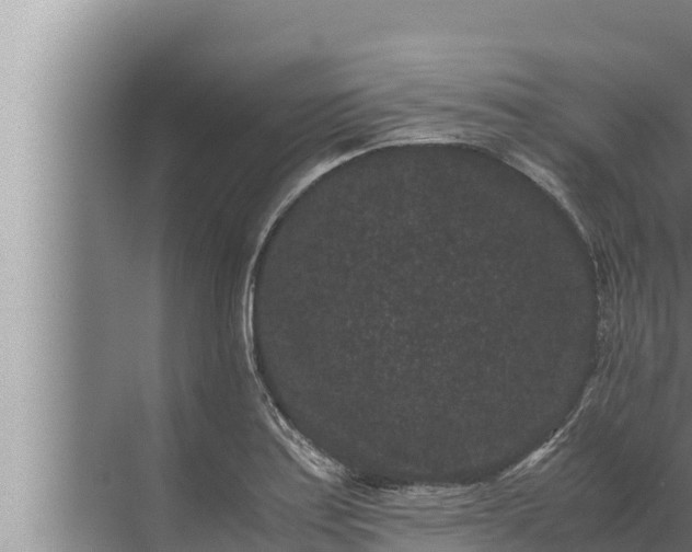 X0000072501179200607290058