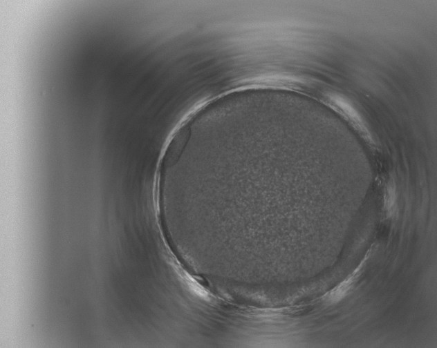 X0000072501180200607290058