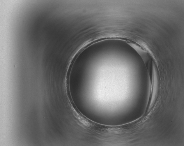 X0000072501181200607290058