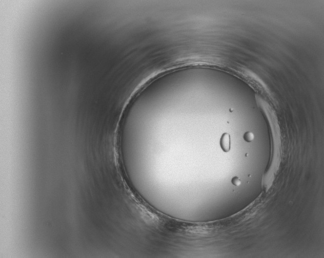 X0000072501182200607290058