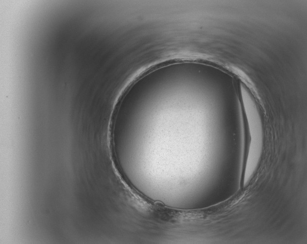 X0000072501183200607290058