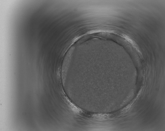 X0000072501185200607290058