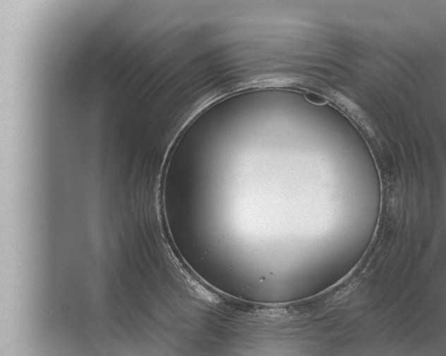 X0000072501186200607290058