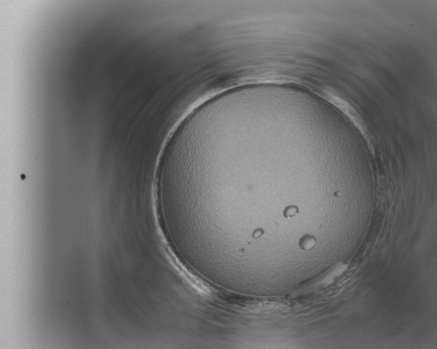 X0000072501187200607290058