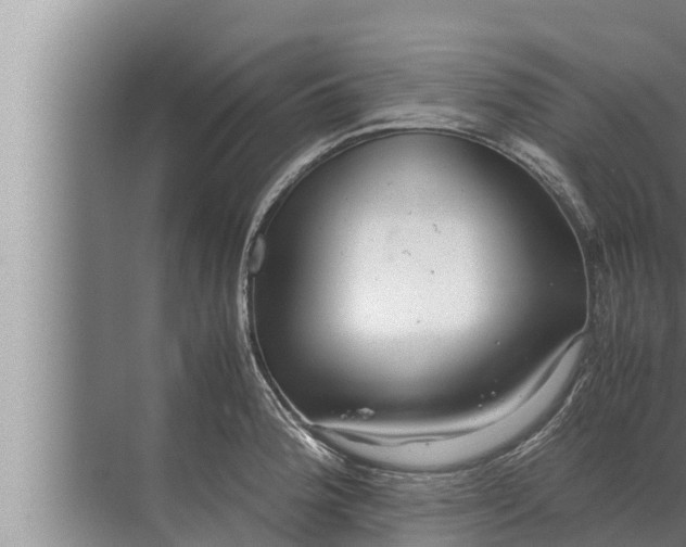 X0000072501188200607290058