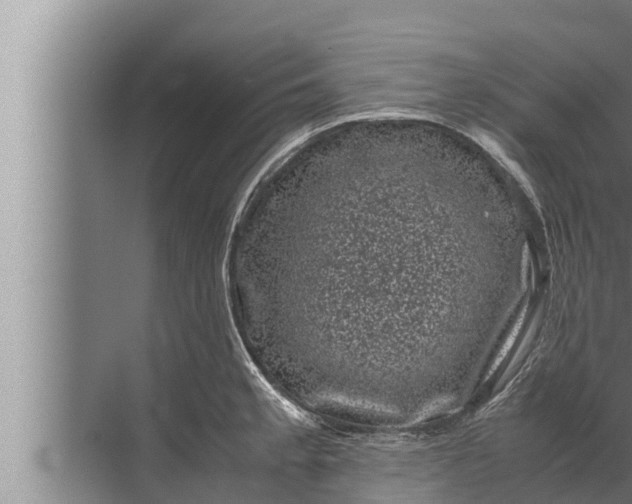 X0000072501189200607290058