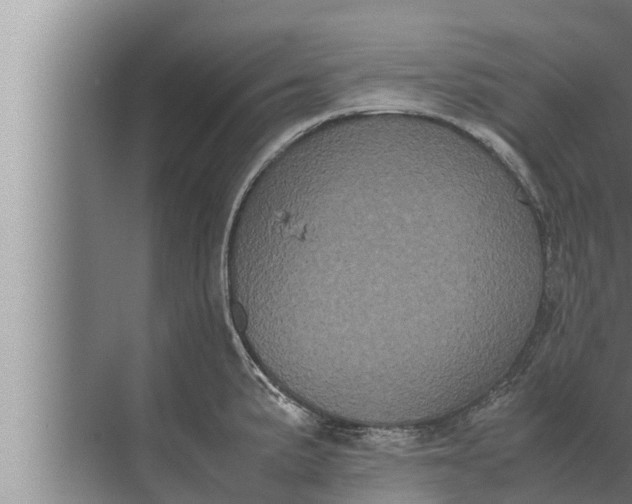 X0000072501191200607290057