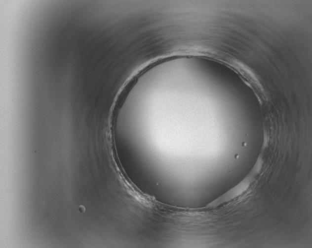 X0000072501192200607290057